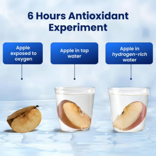 Aquafusion Hydrogen Bottle (Official Retailer) [year]